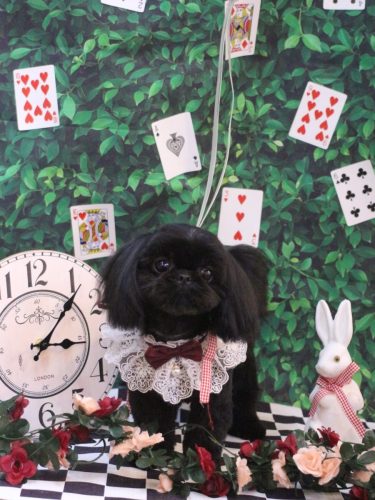 20250423つむぎちゃん